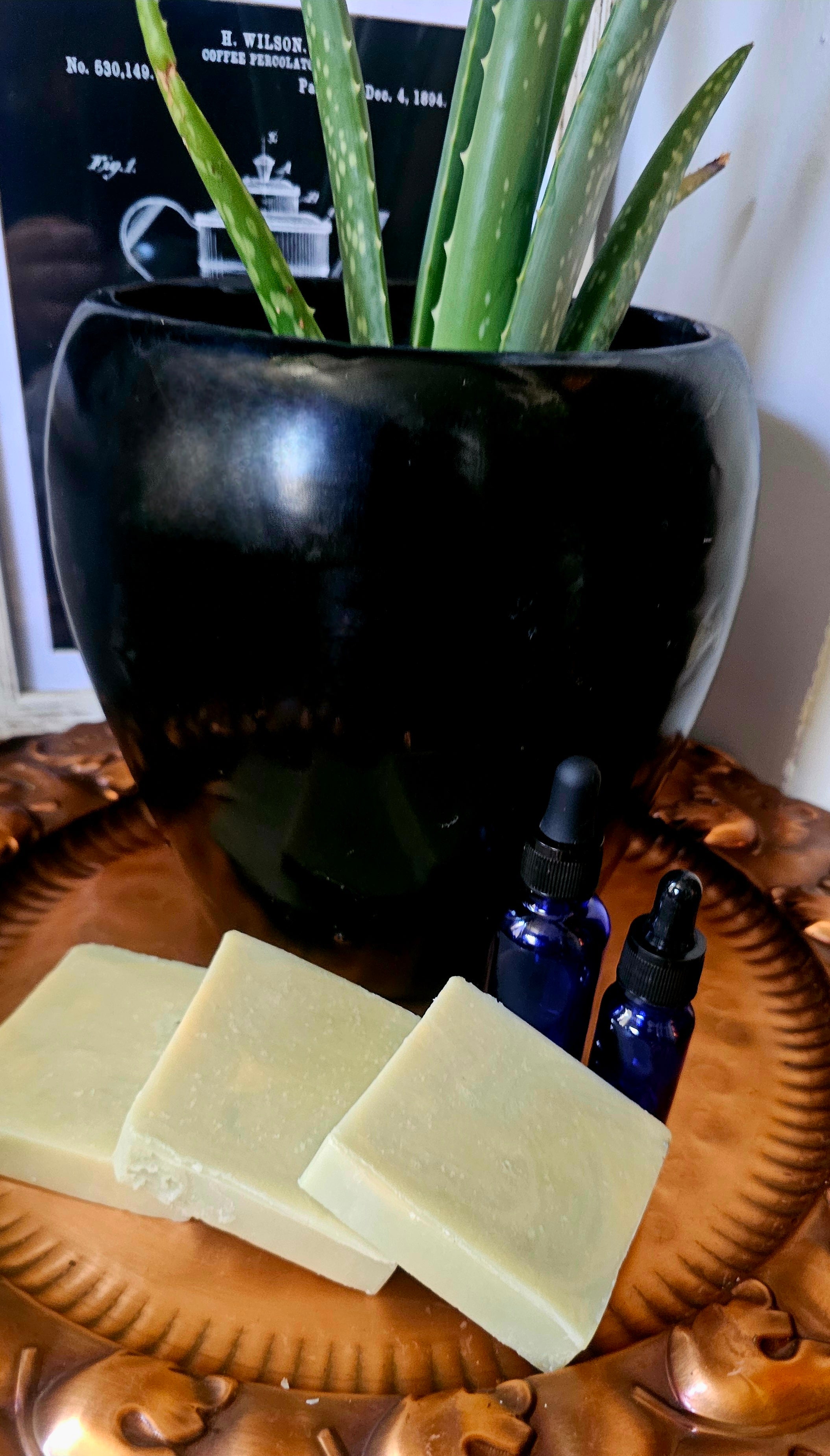 3.5 oz Aloe Vera infused Soap